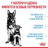 Royal Canin Maxi Starter Корм для щенков крупных пород до 2-х месяцев, беременных и кормящих сук