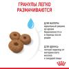Royal Canin Maxi Starter Корм для щенков крупных пород до 2-х месяцев, беременных и кормящих сук