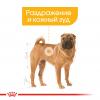 Royal Canin Medium Dermacomfort Корм сухой для взрослых собак средних размеров при раздражениях и зуде кожи