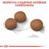 Royal Canin Medium Digestive Care Корм сухой для взрослых собак средних размеров с чувствительным пищеварением