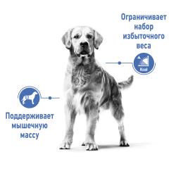 Royal Canin Medium Light Weight Care Корм сухой для взрослых собак средних размеров,склонных к набору лишнего веса