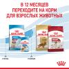 Royal Canin Medium Puppy Корм сухой для щенков средних размеров до 12 месяцев
