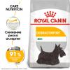 Royal Canin Mini Dermacomfort Корм сухой для взрослых собак мелких размеров при раздражениях и зуде кожи