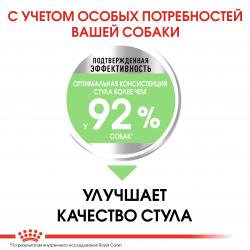 Royal Canin Mini Digestive Care Корм сухой для взрослых собак мелких размеров с чувствительным пищеварением