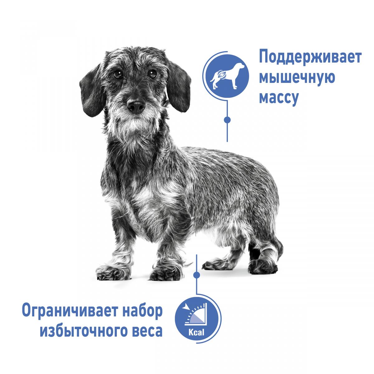 Royal Canin Mini Light Weight Care