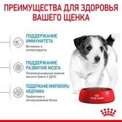 Royal Canin Mini Puppy Корм сухой полнорационный для щенков мелких пород (вес взрослой собаки до 10 кг) в возрасте до 10 месяцев