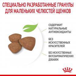 Royal Canin Mini Puppy Корм сухой полнорационный для щенков мелких пород (вес взрослой собаки до 10 кг) в возрасте до 10 месяцев