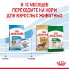 Royal Canin Mini Puppy Корм сухой полнорационный для щенков мелких пород (вес взрослой собаки до 10 кг) в возрасте до 10 месяцев