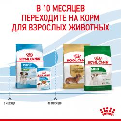Royal Canin Mini Puppy Корм сухой полнорационный для щенков мелких пород (вес взрослой собаки до 10 кг) в возрасте до 10 месяцев