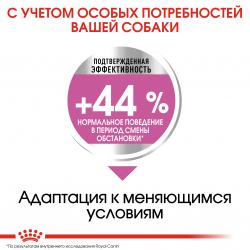 Royal Canin Mini Relax Care Корм сухой для взрослых собак мелких размеров подверженных стрессу