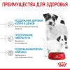 Royal Canin Mini Starter Корм сухой полнорационный для собак мелких пород (до 10 кг) в конце беременности и в период лактации, а также для щенков в период отъема от матери и до 2-х месячного возраста