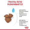 Royal Canin Mini Starter Корм сухой полнорационный для собак мелких пород (до 10 кг) в конце беременности и в период лактации, а также для щенков в период отъема от матери и до 2-х месячного возраста