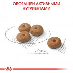 Royal Canin Mini Sterilised Корм сухой для взрослых стерилизованных собак мелких размеров, склонных к набору веса