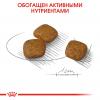 Royal Сanin Mini Urinary Care Корм сухой для собак мелких размеров с чувствительной мочевыделительной системой