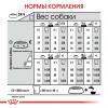 Royal Сanin Mini Urinary Care Корм сухой для собак мелких размеров с чувствительной мочевыделительной системой