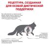 Royal Canin Mobility Feline Корм сухой диетический для взрослых кошек при заболевания суставов