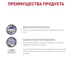 Royal Canin Neutered Adult Maintenance Корм диетический для взрослых кошек с момента стерилизации, соус, 0,085 кг