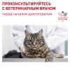 Royal Canin Neutered Adult Maintenance Корм диетический для взрослых кошек с момента стерилизации, соус, 0,085 кг