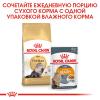 Royal Canin Persian Adult Корм сухой сбалансированный для взрослых персидских кошек от 12 месяцев