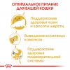 Royal Canin Persian Adult Корм сухой сбалансированный для взрослых персидских кошек от 12 месяцев
