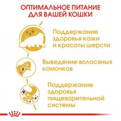 Royal Canin Persian Adult Корм сухой сбалансированный для взрослых персидских кошек от 12 месяцев