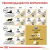 Royal Canin Persian Adult Корм сухой сбалансированный для взрослых персидских кошек от 12 месяцев