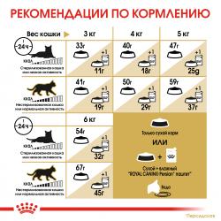 Royal Canin Persian Adult Корм сухой сбалансированный для взрослых персидских кошек от 12 месяцев