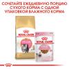 Royal Canin Persian Kitten Корм сухой сбалансированный для персидских котят (до 12 месяцев)