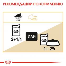 Royal Canin Persian Корм консервированный для взрослых персидских кошек от 12 месяцев(паштет), 85г