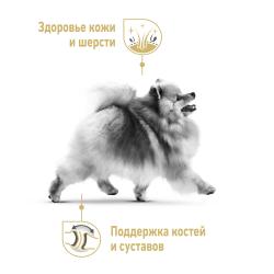 Royal Canin Pomeranian Adult Корм сухой для взрослых собак породы Померанский Шпиц