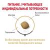 Royal Canin Pomeranian Adult Корм сухой для взрослых собак породы Померанский Шпиц