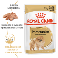 Royal Canin Pomeranian Корм консервированный для взрослых собак породы Померанский Шпиц, 85г