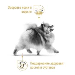 Royal Canin Pomeranian Корм консервированный для взрослых собак породы Померанский Шпиц, 85г