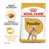 Royal Canin Poodle Adult (для пуделя от 10 месяцев)