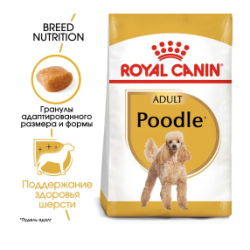 Royal Canin Poodle Adult (для пуделя от 10 месяцев)