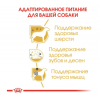 Royal Canin Poodle Adult (для пуделя от 10 месяцев)