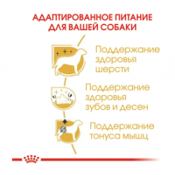 Royal Canin Poodle Adult (для пуделя от 10 месяцев)