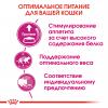 Royal Canin Protein Exigent Корм сухой сбалансированный для привередливых взрослых кошек от 1 года
