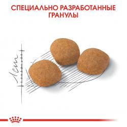 Royal Canin Protein Exigent Корм сухой сбалансированный для привередливых взрослых кошек от 1 года