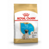 Royal Canin Pug Puppy Корм сухой для щенков породы Мопс в возрасте до 10 месяцев