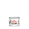 Royal Canin Recovery Корм влажный диетический для взрослых собак и кошек при анорексии и в период восстановления, 195г