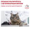 Royal Canin Renal Feline Корм диетический для взрослых кошек с тунцом для поддержания функции почек, соус, 0,085кг
