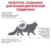 Royal Canin Renal RF 23 Feline Корм сухой диетический для взрослых кошек для поддержания функции почек
