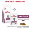 Royal Canin Renal RF 23 Feline Корм сухой диетический для взрослых кошек для поддержания функции почек
