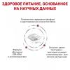 Royal Canin Renal Select Feline Корм сухой диетический для взрослых кошек для поддержания функции почек