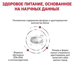 Royal Canin Renal Small Dog Корм сухой диетический для взрослых собак весом до 10 кг с хронической болезнью почек