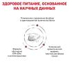 Royal Canin Renal Special RSF 26 Feline Корм сухой диетический для взрослых кошек для поддержания функции почек