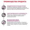 Royal Canin Renal Special RSF 26 Feline Корм сухой диетический для взрослых кошек для поддержания функции почек
