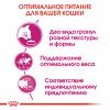 Royal Canin Savour Exigent Корм сухой сбалансированный для привередливых взрослых кошек от 1 года