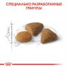 Royal Canin Savour Exigent Корм сухой сбалансированный для привередливых взрослых кошек от 1 года